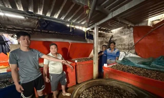 Ngâm ốc bằng 'thủy tinh lỏng': Đẹp mắt nhưng độc hại khôn lường