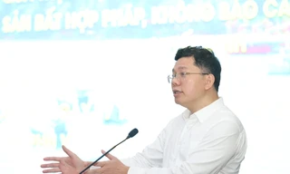 TPHCM chuẩn bị gì trước khi đoàn công tác EC kiểm tra thực địa?