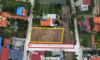 Hải Phòng: Tự lấp ruộng, mở đường để phân lô bán đất 
