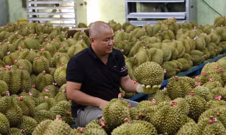 Ông Lê Văn Thành chia sẻ hành trình đòi lại mã số vùng trồng