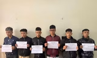 Hải Phòng triệu tập nhóm người hành hung thành viên Đội an ninh cơ sở 