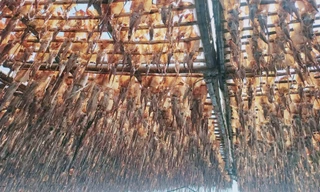 Giá mực xà 'neo đỉnh'nhiều tháng, ngư dân Quảng Ngãi phấn khởi đón Tết