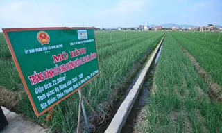 Đề xuất quảng bá, tiêu thụ nông sản qua ứng dụng AI 