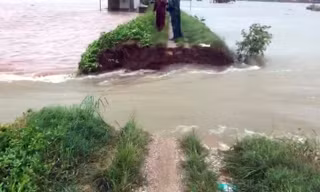 Hải Phòng: Vỡ đê bối, cấm phương tiện qua cầu do nước sông dâng cao