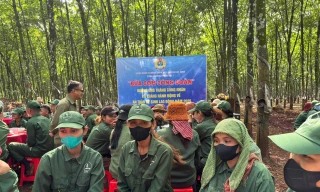 BÀI 6: Lộc Ninh – Bữa cơm nghĩa tình giữa rừng cao su