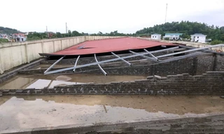 Lốc xoáy khiến 5 trường học, 18 hộ dân ở Hải Phòng bị thiệt hại