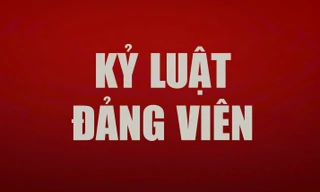 Bộ Chính trị, Ban Bí thư xem xét, thi hành kỷ luật tổ chức đảng, đảng viên vi phạm