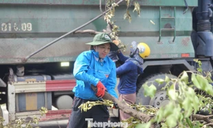 Tuổi trẻ Gia Lai tham gia khắc phục hậu quả bão số 13