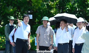 Kiểm tra toàn bộ công tác chuẩn bị giải Vô địch Quốc gia Marathon - Báo Tiền Phong lần thứ 67