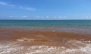 Biển ở Gia Lai xuất hiện dải nước nâu đỏ kéo dài hàng kilomet