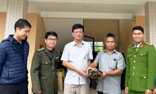 Phát hiện con vật nguy cấp, quý hiếm khi làm nương rẫy