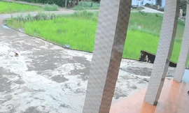 Tìm nguyên nhân gây ra vụ nổ kinh hoàng giữa ruộng lúa Quảng Trị