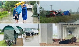 Nước dâng nhanh, người dân hạ du hồ Kẻ Gỗ gấp rút đưa tài sản đi 'tránh lũ'