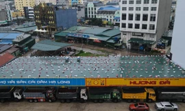 Ông chủ nhà hàng chi 54 triệu đồng/ngày thuê container chắn cửa, chống bão số 3