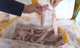 Mua cá khoai chứa formol 37.000 đồng, bán 130.000 đồng/kg