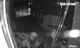 Động đất 4,9 độ ở Quảng Ngãi, người dân hoảng hốt tỉnh giấc vì giường rung lắc