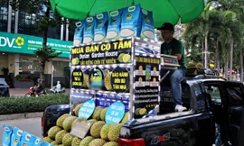 Đặt quy tắc kỳ quặc, xe bán sầu riêng ở TPHCM đắt khách từ chiều tối đến đêm