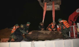 Đưa 2 quả bom còn nguyên ngòi nổ đi hủy tại trường bắn