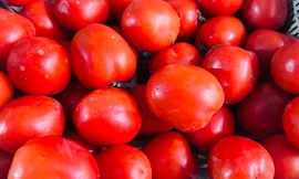 Cà chua tăng giá kỷ lục tại chợ Hà Nội: 85.000 đồng/kg vẫn bán sạch, bà nội trợ 'choáng váng'