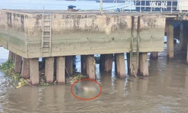 Phát hiện thi thể trôi sông tại khu vực Tổng kho xăng dầu Nhà Bè
