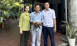 Thả về rừng cá thể rùa quý hiếm do người dân tự nguyện giao nộp
