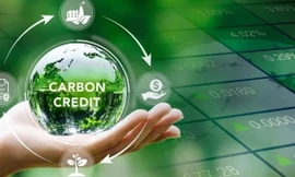 Chuẩn bị điều kiện cho vận hành, phát triển thị trường carbon