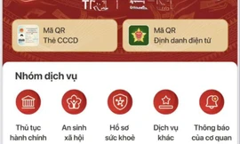 Vì sao lái xe đỗ sát hạch nhưng giấy phép lái xe chưa hiển thị trên VNeID?