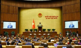 Bầu cử Quốc hội và HĐND: Bảo đảm thực hiện tốt quyền, trách nhiệm của Mặt trận Tổ quốc