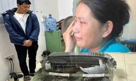 Người đàn ông nhận án 6 năm tù vì nuôi gà lôi trắng: 'Là người hiền lành, chưa từng phạm tội'