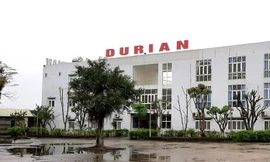 Công an Hà Nội khởi tố một giám đốc người nước ngoài về tội trốn thuế