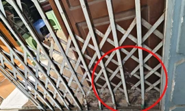 Hà Nội: Bị cảnh sát bao vây, nhóm tội phạm ma túy dùng súng chống trả