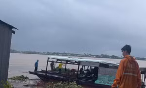 Đồng Tháp công bố tình huống khẩn cấp sạt lở bờ sông Tiền 