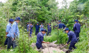 Hành trình đưa liệt sĩ từ giữa rừng sâu Campuchia về đất mẹ