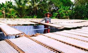 Làng bánh tráng 200 năm tất bật vào vụ Tết