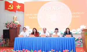 Tiếp tục huy động nguồn lực xây nhà Đại đoàn kết giúp dân