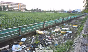 Nhếch nhác hồ cạnh phố ẩm thực ở trung tâm Cần Thơ