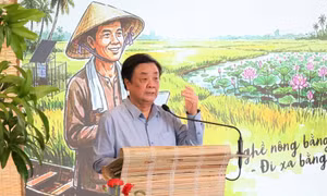 Nông dân chuyên nghiệp không mặc áo vest đi hội thảo