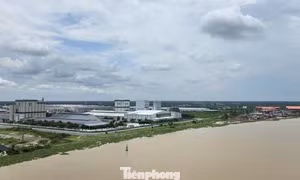 Vĩnh Long muốn biến Định An thành khu kinh tế tự do, thí điểm chính sách mới