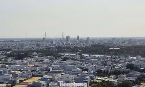 Cần Thơ chấp thuận đầu tư dự án nhà ở cao tầng 150 tỷ ở trung tâm