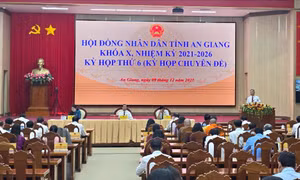 An Giang dự kiến thu ngân sách hơn 162 nghìn tỷ đồng trong 5 năm tới