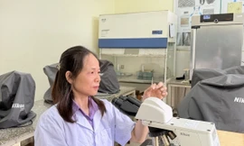 Nữ đoàn viên Công đoàn gieo 'mầm xanh' tri thức từ những nghiên cứu vì nông nghiệp bền vững