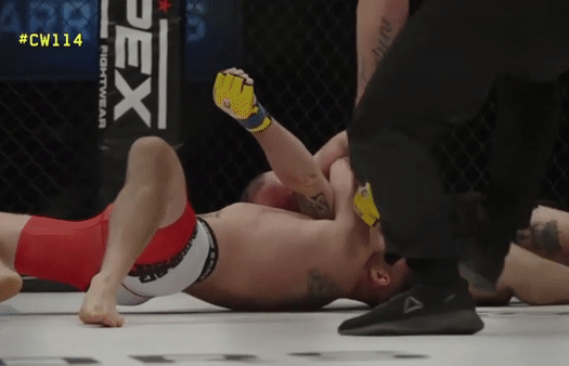 Luke Shanks ra đòn hạ gục đối thủ.