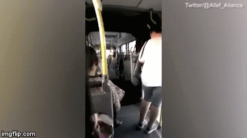 Hy hữu: Xe buýt đang chạy bất ngờ... đứt đôi 