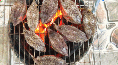 Cá bò hòm được đánh giá là loại đặc sản quý hiếm có giá đắt đỏ bậc nhất trong số các loại cá khai thác từ vùng biển Phú Yên. Ảnh: TomSamFamily.