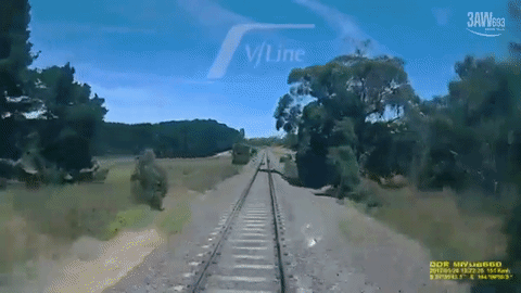 Tay đua thoát chết trong gang tấc ngay trước mũi tàu hỏa