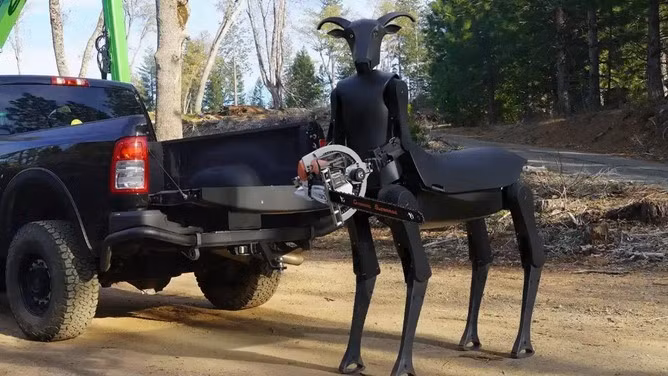 robot-1.jpg