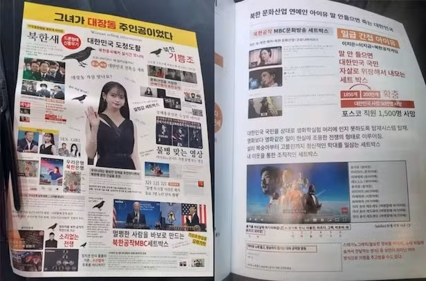 iu-1.jpg