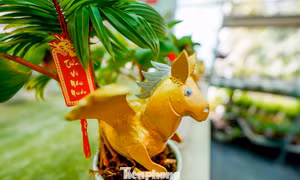 Nông dân TPHCM 'hô biến' dừa khô thành bonsai linh vật ngựa