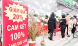 Cửa hàng lan của anh Hoàng Văn Đức giảm 20% giá bán. Ảnh: Nguyễn Thắng