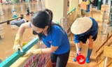 Tại các khu vực bị ảnh hưởng, các tình nguyện viên tổ chức dọn dẹp bùn đất, vệ sinh trường học, trạm y tế, nhà văn hóa để sớm ổn định sinh hoạt cho người dân sau bão.